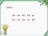 12 《清贫》（课件）部编版语文五年级下册