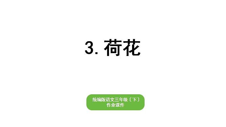 部编版小学也三年级下册期末复习课件3 荷花第1页