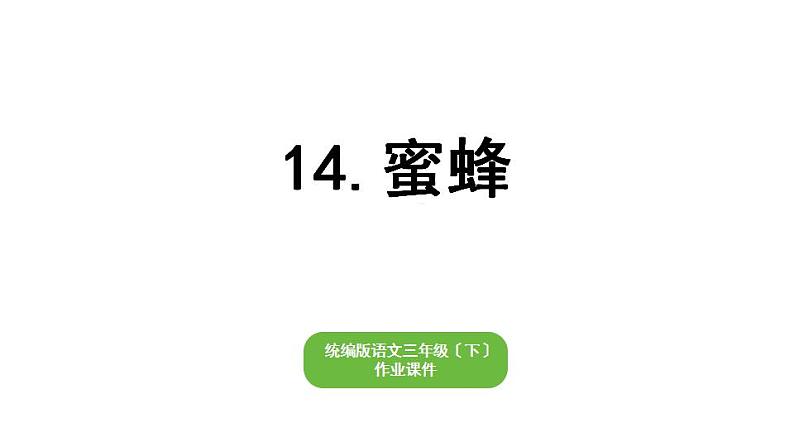 部编版小学也三年级下册期末复习课件14 蜜蜂第1页