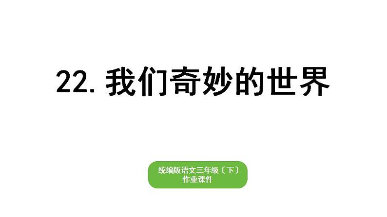 部编版小学也三年级下册期末复习课件22 我们奇妙的世界第1页