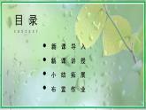 17 盼課件+教案