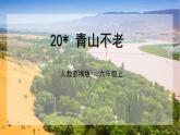 20*青山不老課件+教案
