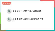 小学语文人教部编版六年级上册4* 花之歌优秀授课课件ppt_ppt04