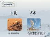【同步课件】3.现当诗二首《秋晚的江上》（课件）四年级语文上册
