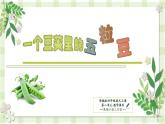 【同步课件】5.一个豆荚里的五粒豆（课件）四年级语文上册