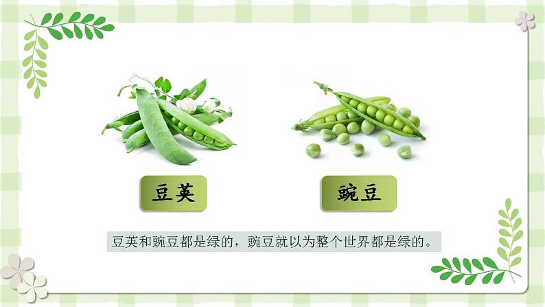 【同步课件】5.一个豆荚里的五粒豆（课件）四年级语文上册07