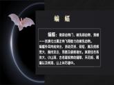 【同步课件】6.夜间飞行的秘密（课件）四年级语文上册