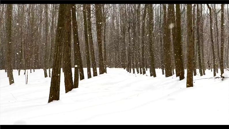 部编版语文一年级上册12 雪地里的小画家（课件）03