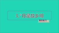 小学3* 月是故乡明习题课件ppt