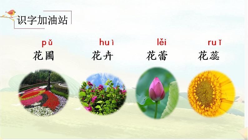 部编版语文四上《语文园地四》课件+教案06