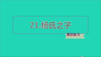 小学语文人教部编版五年级下册第八单元21 杨氏之子习题课件ppt