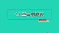 人教部编版五年级下册第八单元23* 童年的发现习题ppt课件