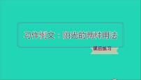 小学语文人教部编版六年级下册阳光的两种用法习题ppt课件