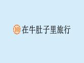 在牛肚子里旅行课件 部编版语文三年级上册