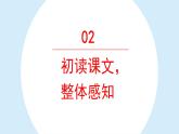 在牛肚子里旅行课件 部编版语文三年级上册