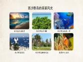 富饶的西沙群岛课件 部编版语文三年级上册