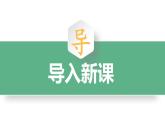 1.1《白鹭》课件