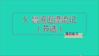 人教部编版六年级下册5 鲁滨逊漂流记（节选）示范课ppt课件