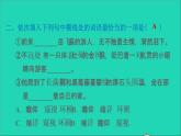 2022六年级语文下册第2单元第6课骑鹅旅行记节选课后练习课件2新人教版