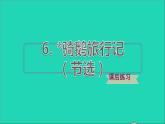 2022六年级语文下册第2单元第6课骑鹅旅行记节选课后练习课件1新人教版