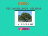 2022二年级语文下册第1单元第4课邓小平爷爷植树初读感知课件新人教版