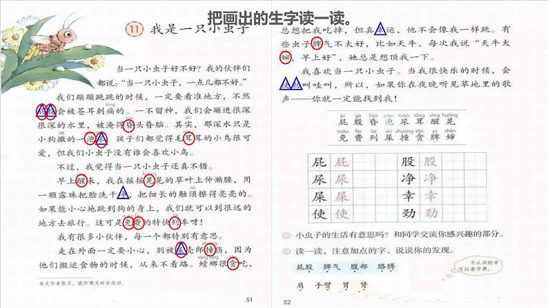 2022二年级语文下册第4单元第11课我是一只小虫子初读感知课件新人教版第5页