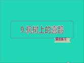 2022二年级语文下册第4单元第9课枫树上的喜鹊课后练习课件新人教版