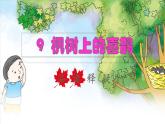2022二年级语文下册第4单元第9课枫树上的喜鹊品读释疑课件新人教版