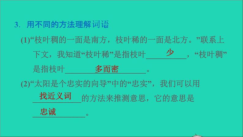 2022二年级语文下册第6单元第17课要是你在野外迷了路习题课件新人教版第4页