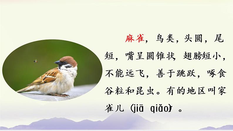 部编版语文四上16《麻雀》课件+教案+素材03