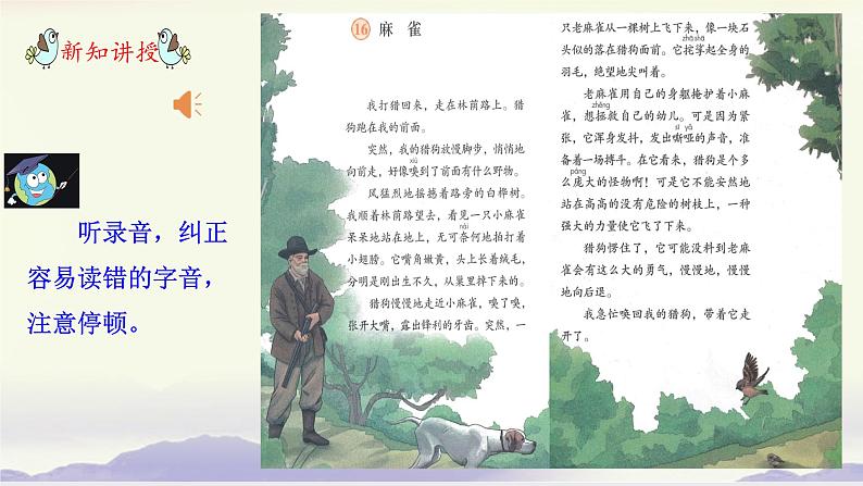 部编版语文四上16《麻雀》课件+教案+素材08