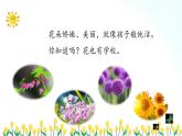 部编版语文三年级上册 第2课《花的学校》（第一课时） 课件