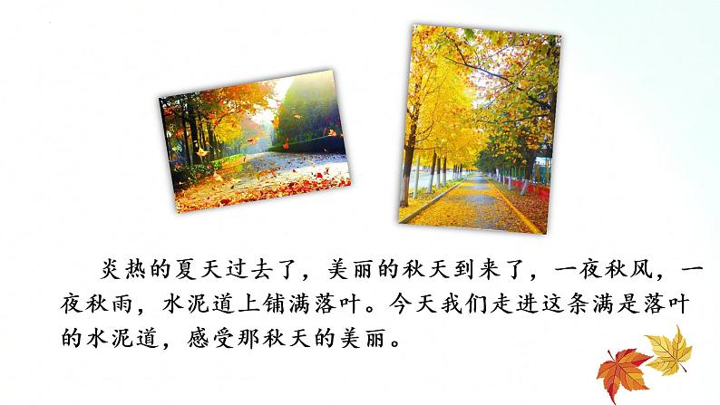 部编版语文三年级上册 第5课《铺满金色巴掌的水泥道》（第一课时） 课件02