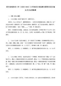 四川省绵阳市三年（2020-2022）小升初语文卷真题分题型分层汇编-05作文&判断题