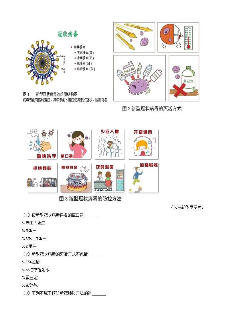 湖北省孝感市三年（2020-2022）小升初语文卷真题分题型分层汇编-05现代文阅读（语段阅读）第2页