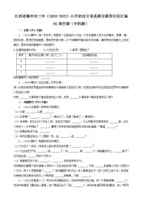 江西省赣州市三年（2020-2022）小升初语文卷真题分题型分层汇编-05填空题（中档题）