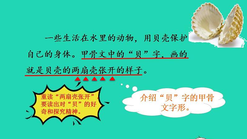 2022二年级语文下册第3单元识字3贝的故事品读释疑课件新人教版04