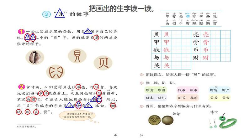 2022二年级语文下册第3单元识字3贝的故事初读感知课件新人教版05