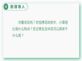 部编版六上语文 4.《花之歌》课件+教案