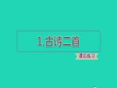 2022二年级语文下册第1单元第1课古诗二首课后练习课件新人教版