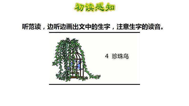 1.4《珍珠鸟》课件08