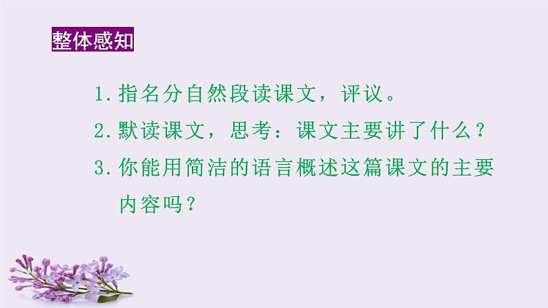 人教部编版六上语文 2.《丁香结》授课课件+生字课件+教案+导学案+素材08