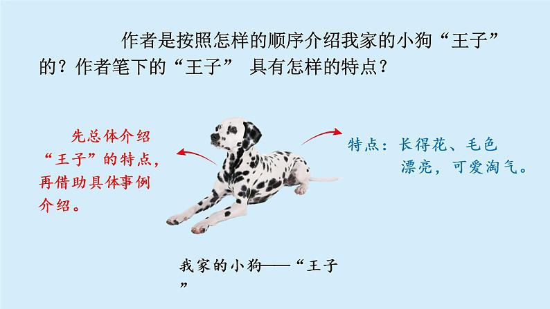 习作例文课件 部编版语文三年级上册05