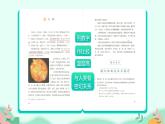 17+松鼠+第1课时（课件）五年级上册语文部编版