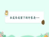 17+松鼠+第1课时（课件）五年级上册语文部编版
