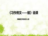 《习作例文——鲸》说课（课件）五年级上册语文部编版