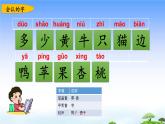 第五单元复习课件
