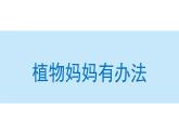 植物妈妈有办法课件 小学语文二年级上册