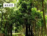 场景歌课件 小学语文二年级上册