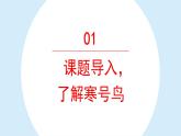 寒号鸟课件 小学语文二年级上册